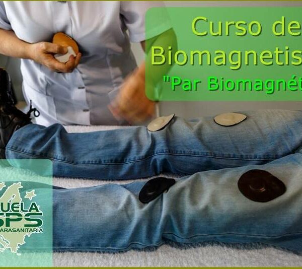 Curso de biomagnetismo curso de par bio magnético en Vigo, Pontevedra, Coruña, Santiago, Galicia, Salamanca, Tenerife