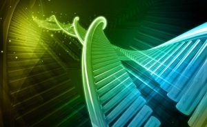 Desarrollan organismo semisintético capaz de crear moléculas artificiales