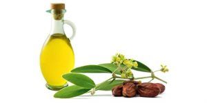 Propiedades del aceite de jojoba