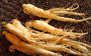 Ginseng rojo: juventud, resistencia física y mental