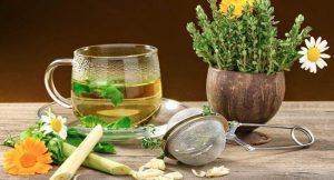 En qué consiste la fitoterapia