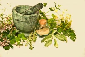 Plantas medicinales que quizás no conoces que te pueden ayudar a sanar