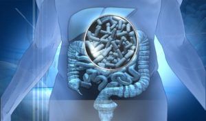 Curso de Simbióticos (probióticos y prebióticos)