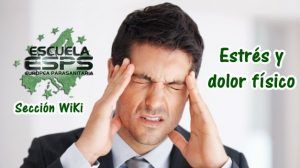 Estrés y dolor físico