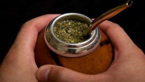 5 cosas a saber del Mate