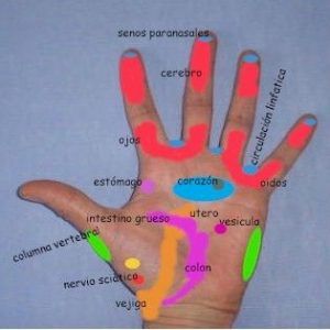 ¿Qué es la Reflexología de las manos? en Marbella