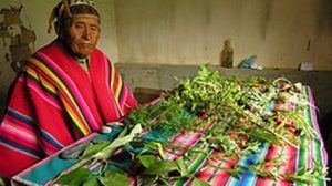 La cultura Kallawaya y la Pachamama