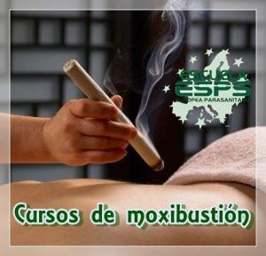 moxibustion cursos de moxibustión moxa
