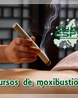 Curso de Moxibustión