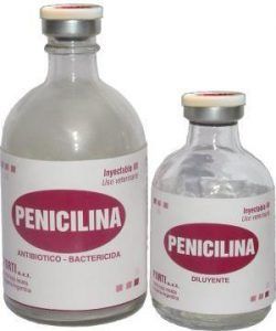 Cómo consumimos Penicilina