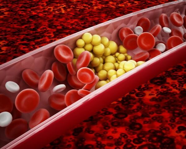 Beneficios de los fitonutrientes