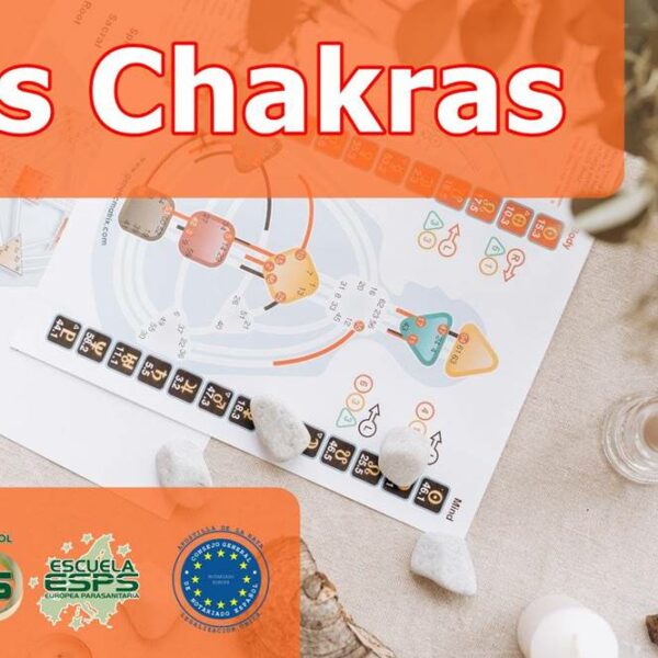 los chakras taller online sobre los Chakras