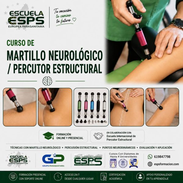 curso de martillo neurológico (Vigo, A Coruña, Santiago, Pontevedra, Ourense, Lugo y Ferrol). curso de percutor estructural martillo kinesiológico Galicia martillo neurológico para terapia manual formación en percutor neurológico martillo neurológico para dolor curso de terapia manual con percutor