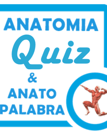 AnatomiVip, AnatoPalabra y AnatomiKids