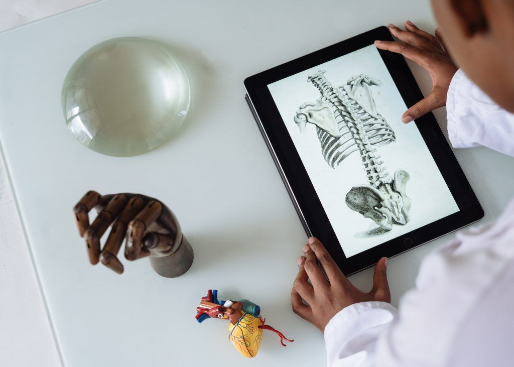 Profesional aprende anatomía fácilmente con la App AnatoPalabra, AnatomiKids Quiz de ESPS Formación