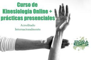Curso de kinesiología online