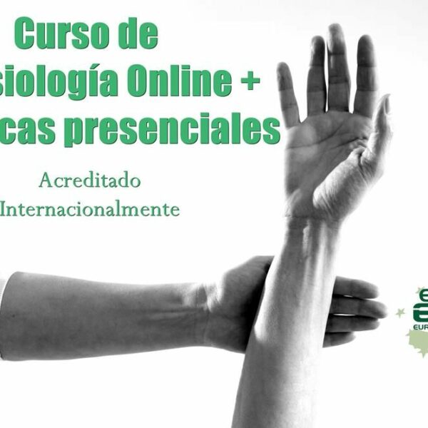 Curso de kinesiología online