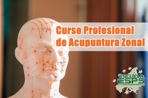 curso de acupuntura zonal