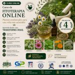 curso de Fitoterapia online y Curso en Vigo, A Coruña, Santiago, Pontevedra, Ourense, Lugo, curso de plantas medicinales online. Curso de fitoterapia en línea, incluye libros de plantas medicinales