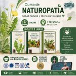 Curso de naturopatía online con 4 acreditaciones universitarias