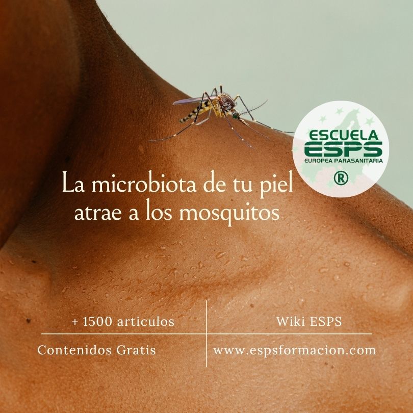 La microbiota de tu piel atrae a los mosquitos
