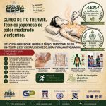 Curso de Ito Thermie: Formación Profesional en Transferencia de Calor Terapéutico y Artemisa Japonesa